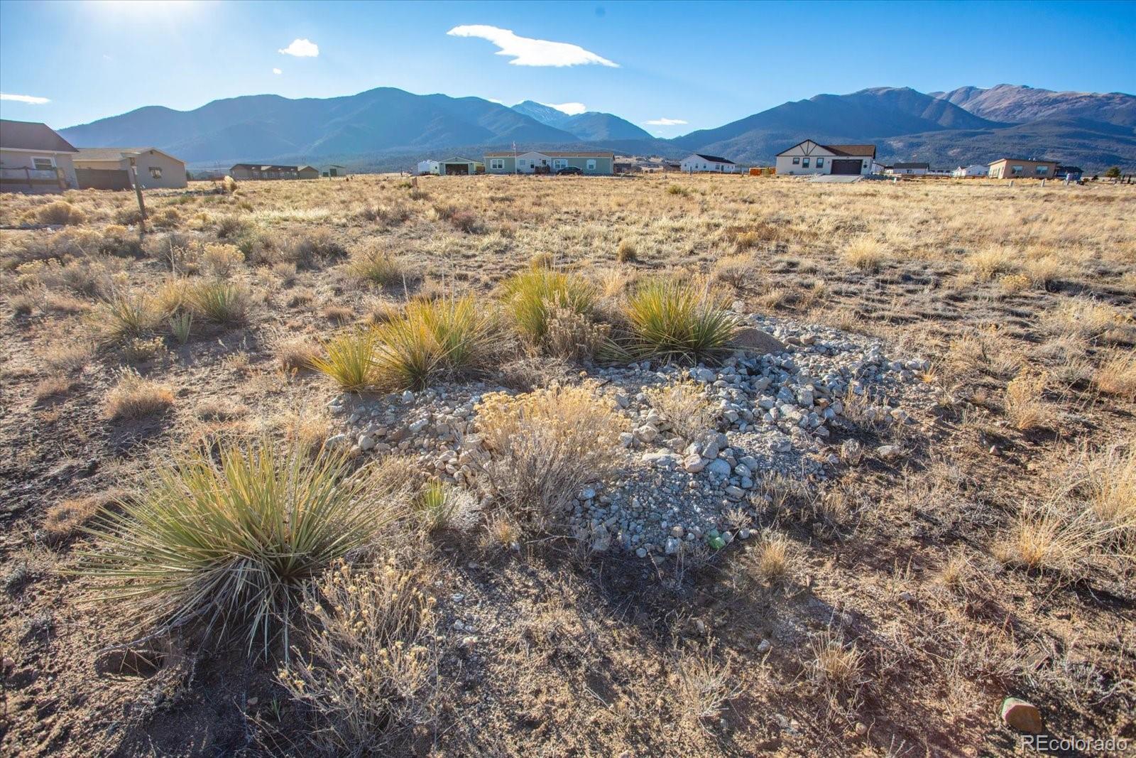16670 Allen Drive Buena Vista CO 81211