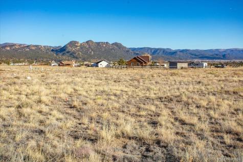 16670 Allen Drive Buena Vista CO 81211
