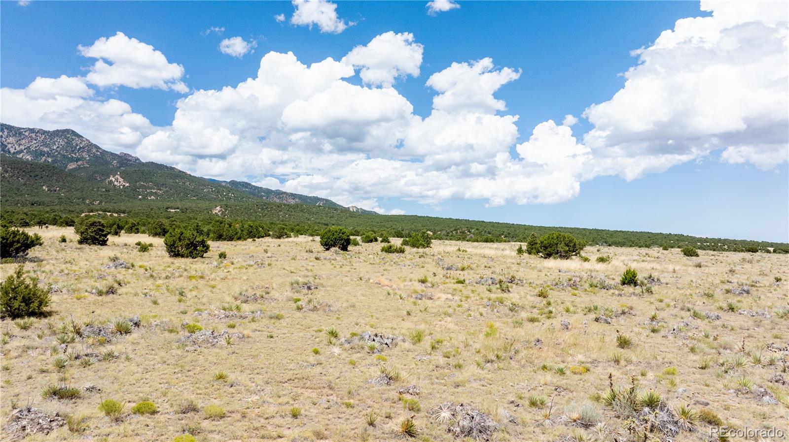 Lot 150 651 Ct Road Rye CO 81069
