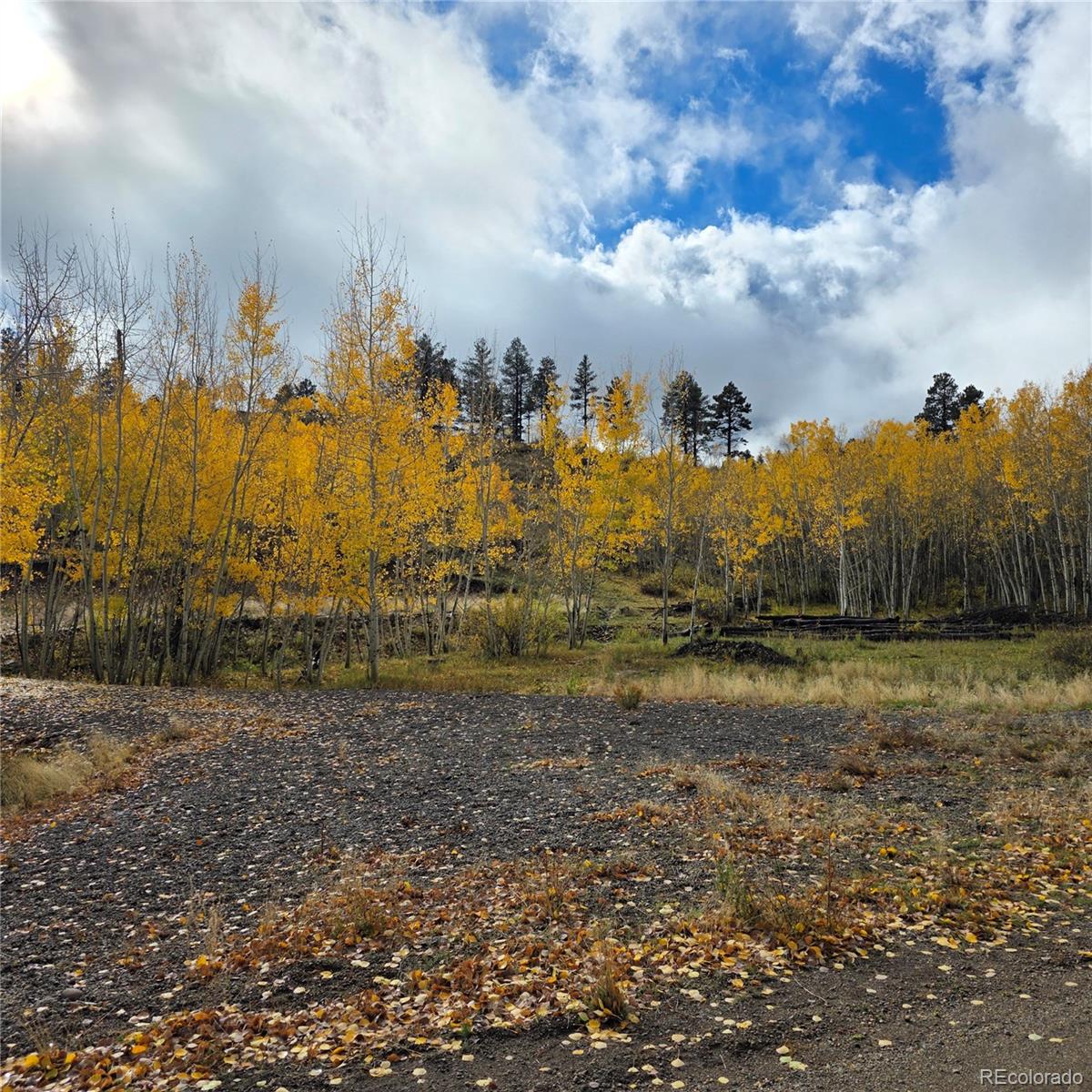 302 Rickel Circle South Fork CO 81154