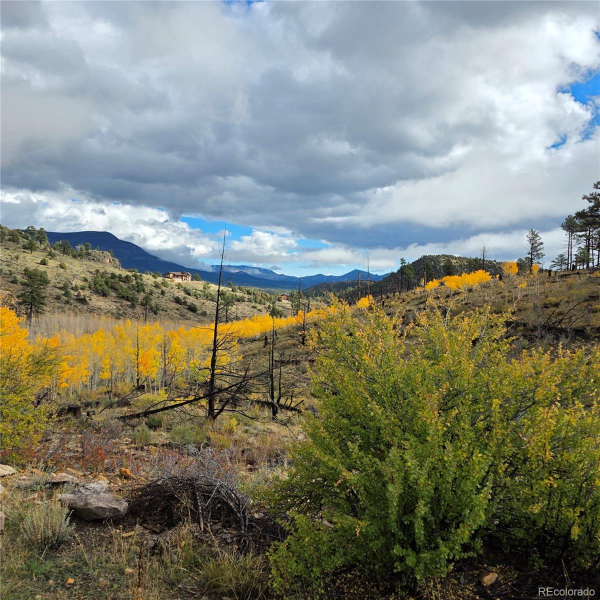 302 Rickel Circle South Fork CO 81154