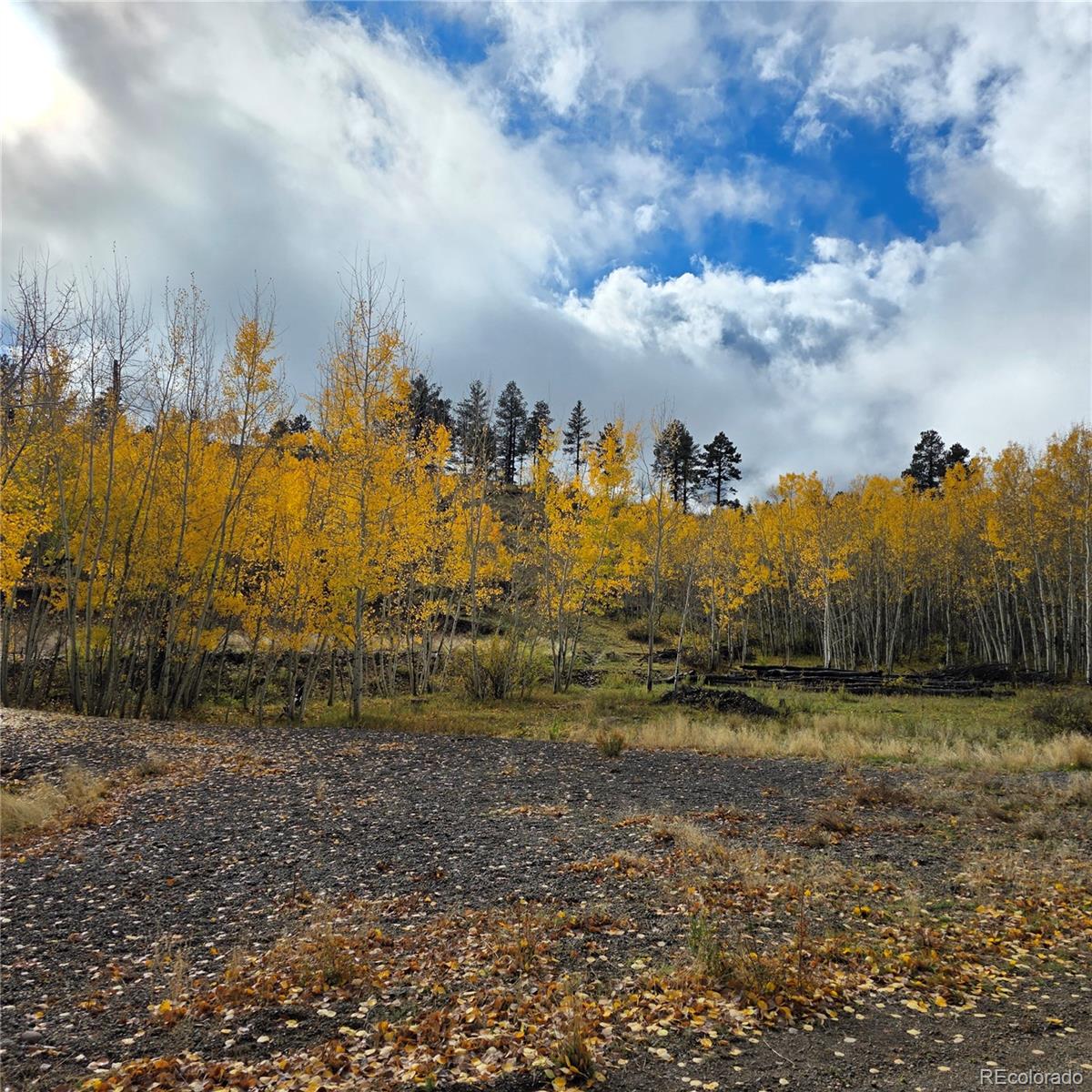 302 Rickel Circle South Fork CO 81154