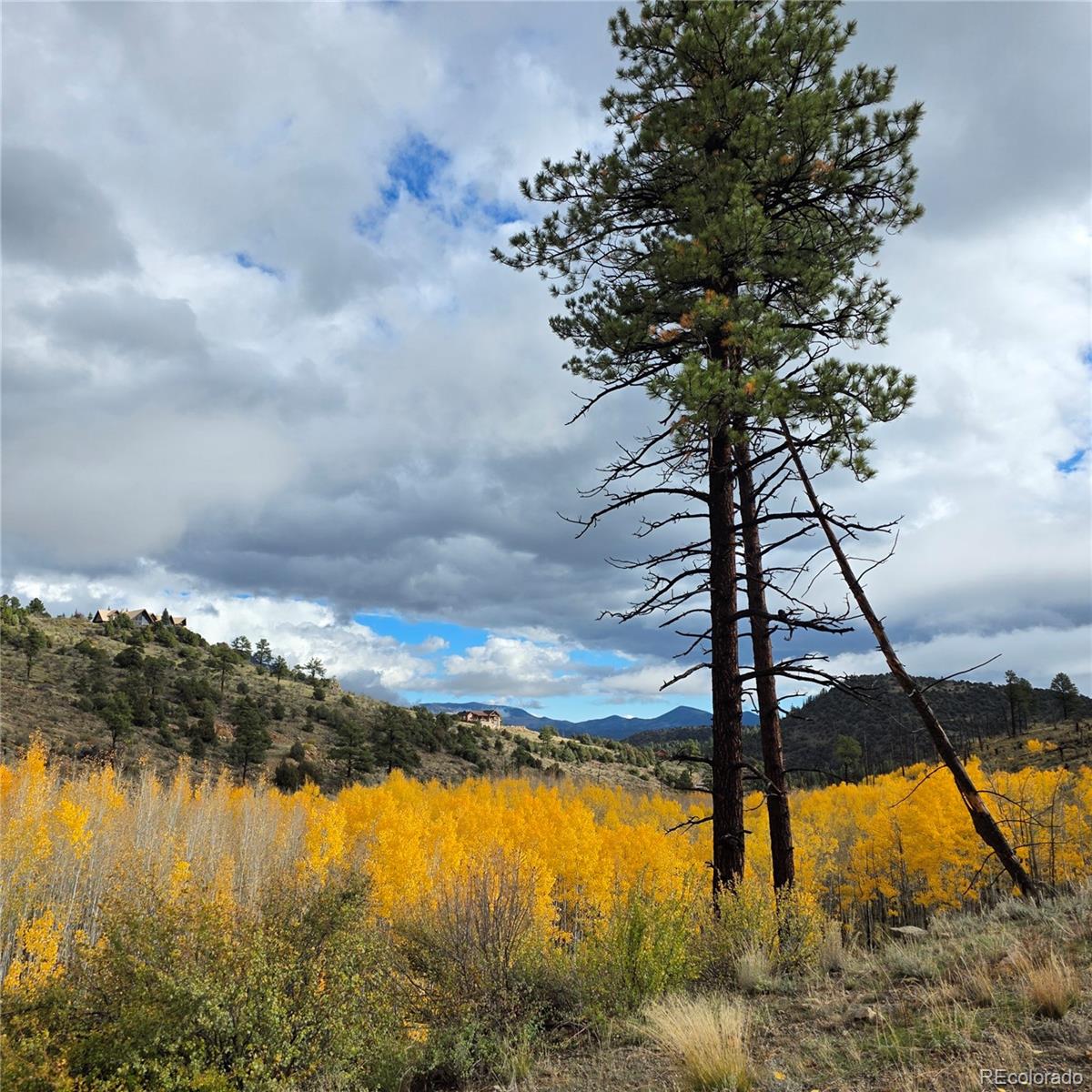 302 Rickel Circle South Fork CO 81154