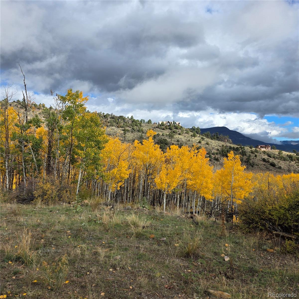 302 Rickel Circle South Fork CO 81154