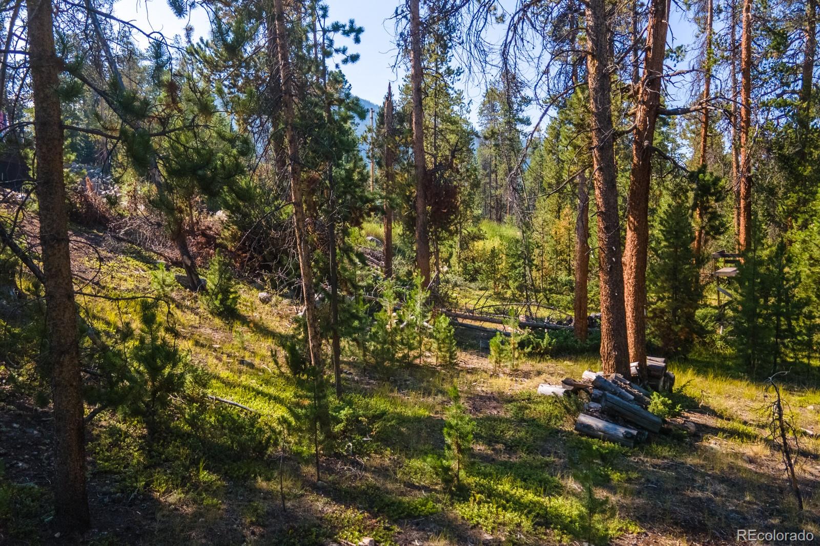 917 Tallaqua Drive Grand Lake CO 80447