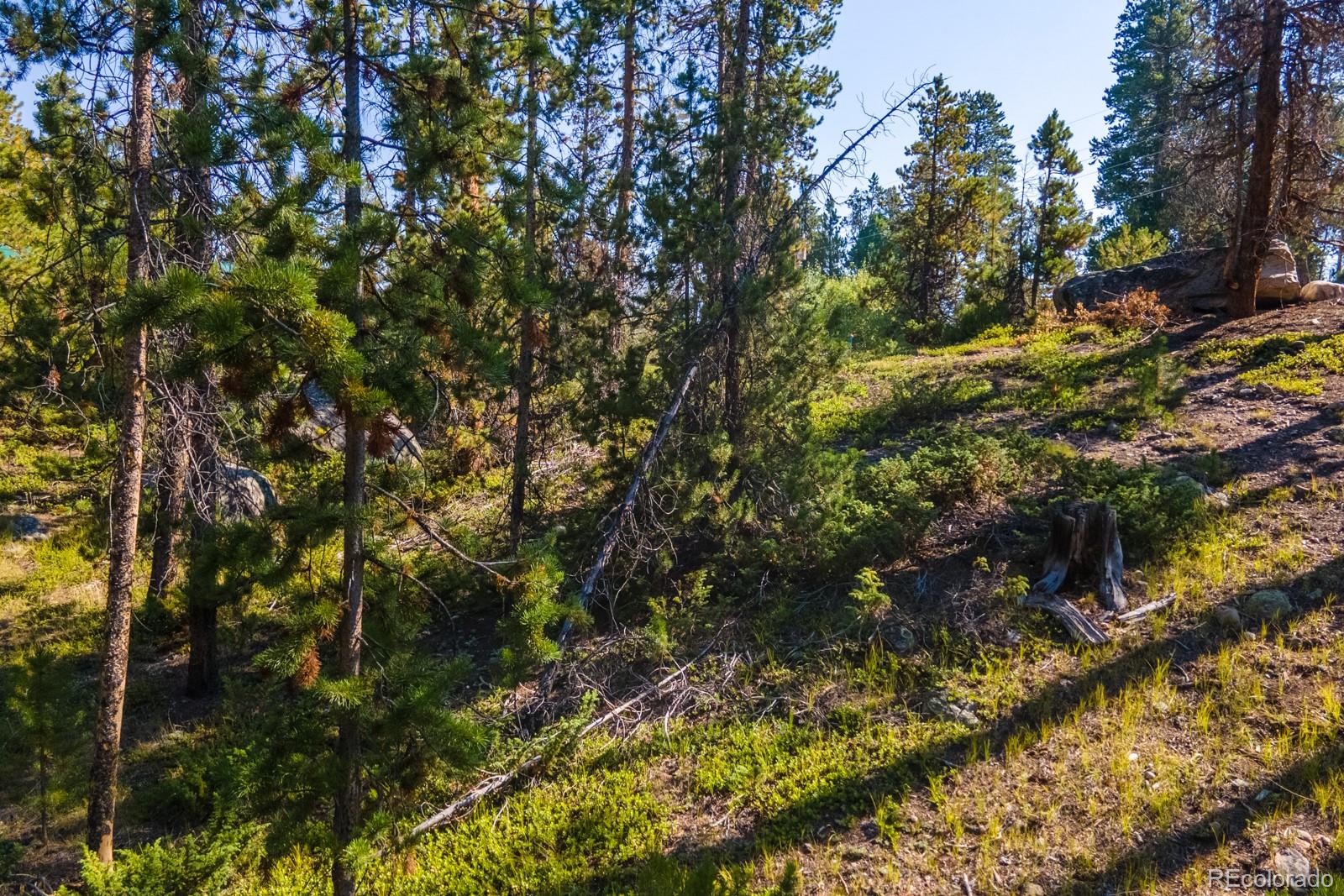 917 Tallaqua Drive Grand Lake CO 80447