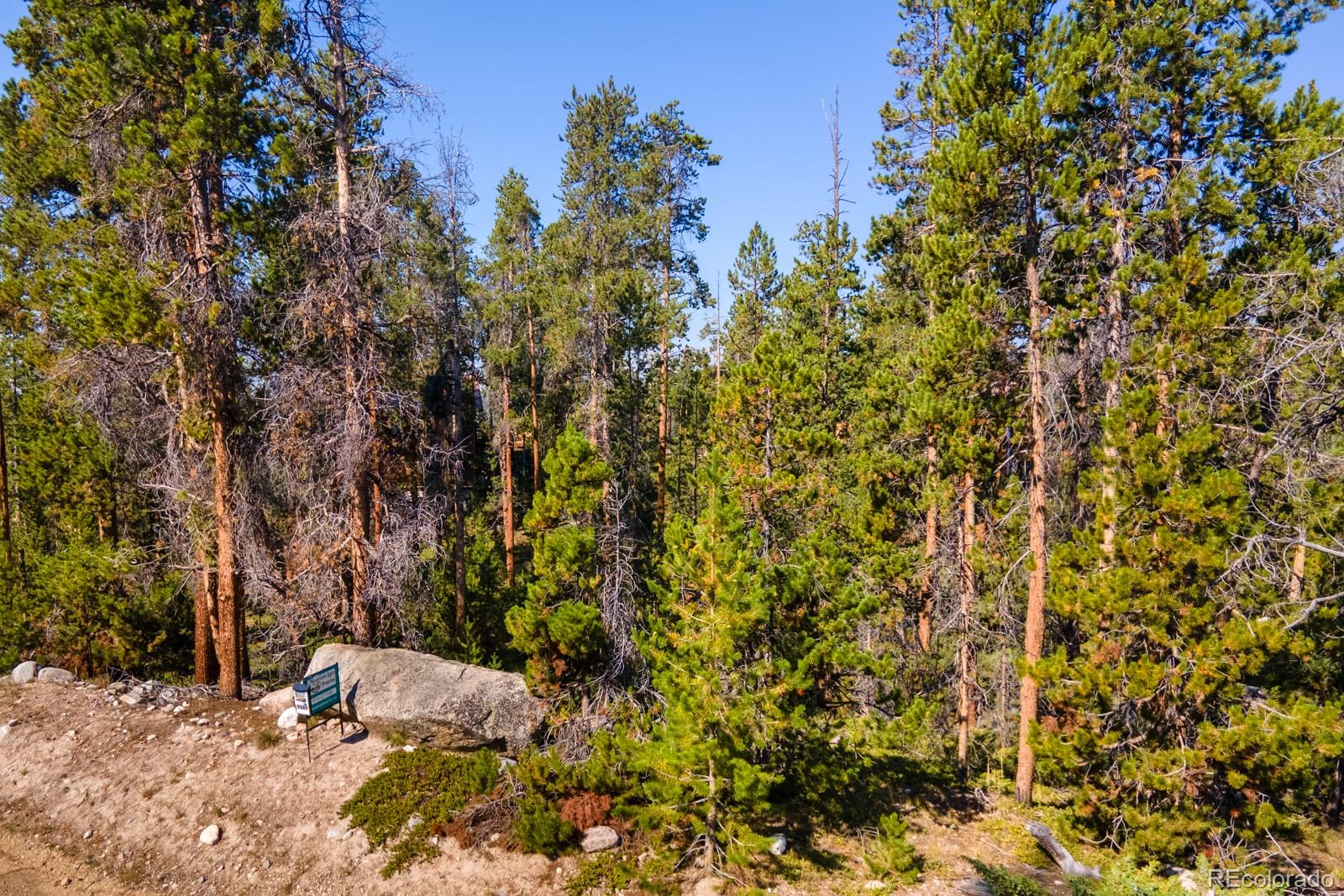917 Tallaqua Drive Grand Lake CO 80447