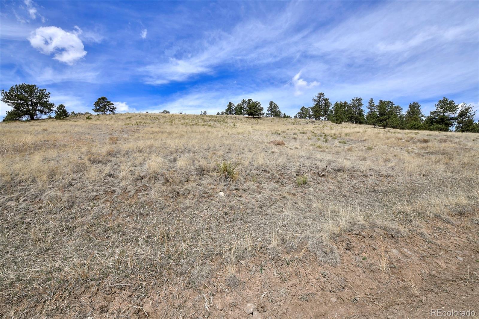 81 High Pasture Road Florissant CO 80816