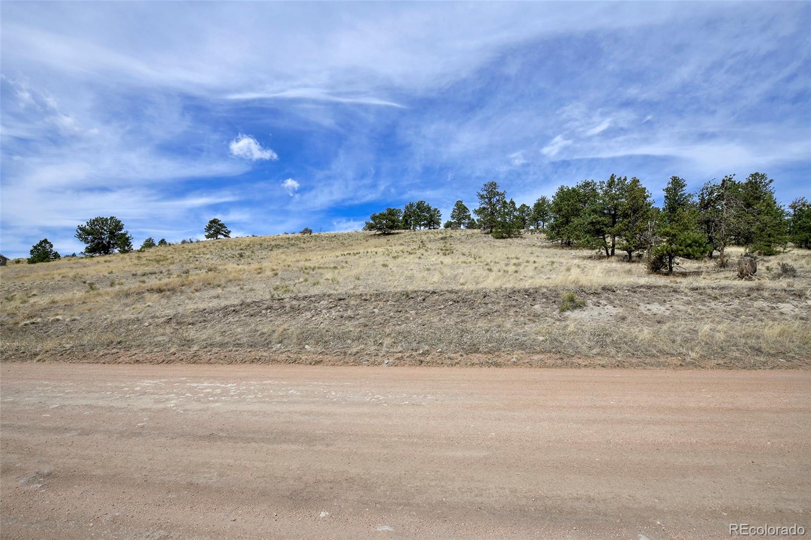 81 High Pasture Road Florissant CO 80816