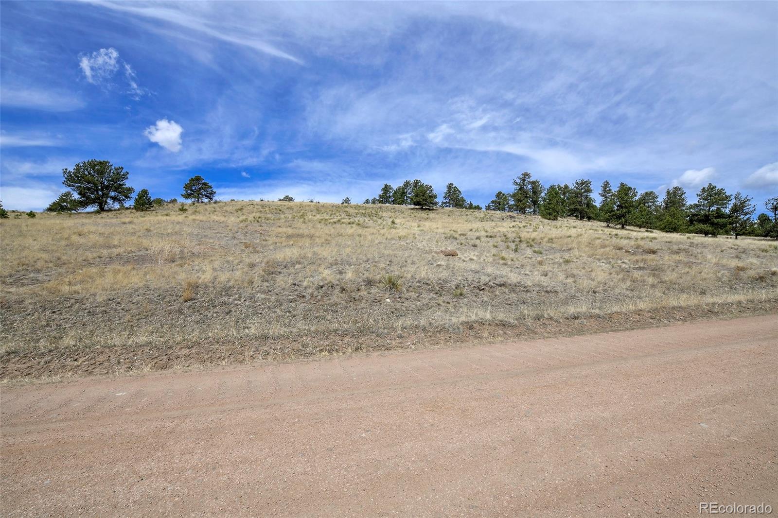 81 High Pasture Road Florissant CO 80816
