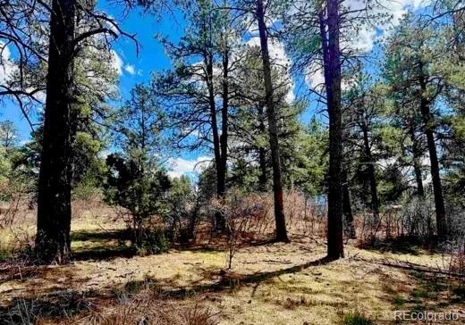 184 Aztec Drive Pagosa Springs CO 81147