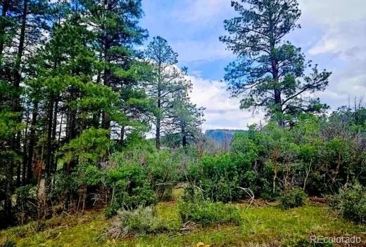 184 Aztec Drive Pagosa Springs CO 81147