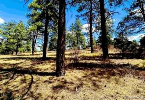 184 Aztec Drive Pagosa Springs CO 81147