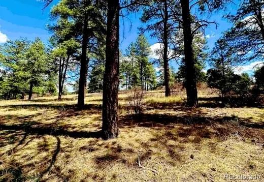184 Aztec Drive Pagosa Springs CO 81147