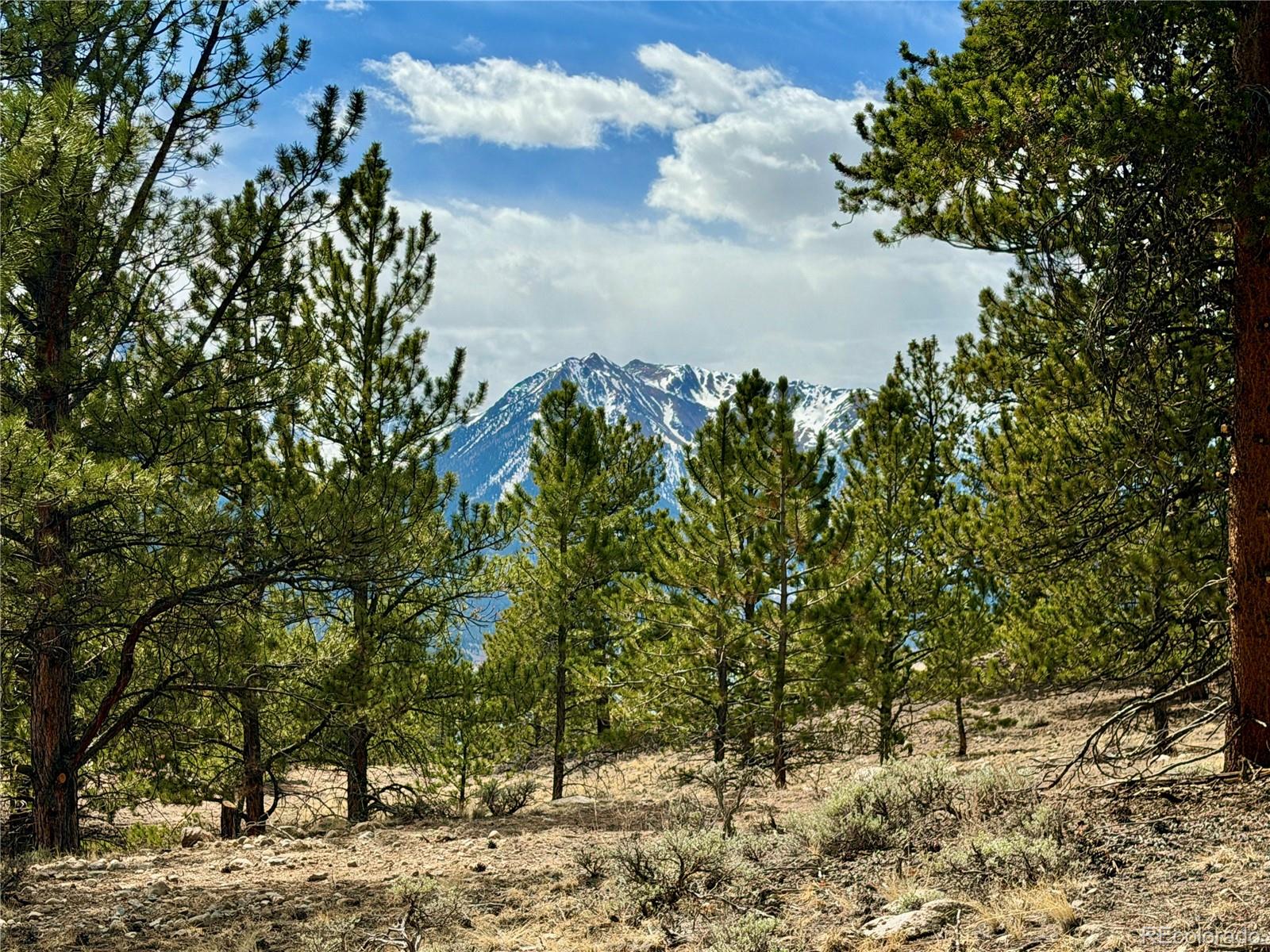 142 La Plata Peak Drive Twin Lakes CO 81251