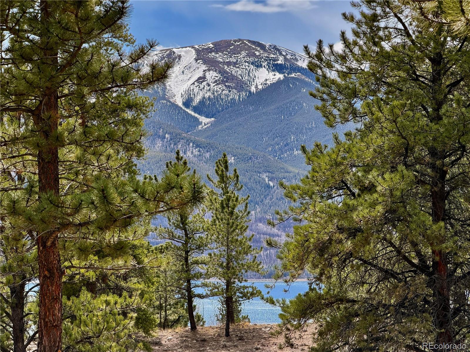 142 La Plata Peak Drive Twin Lakes CO 81251