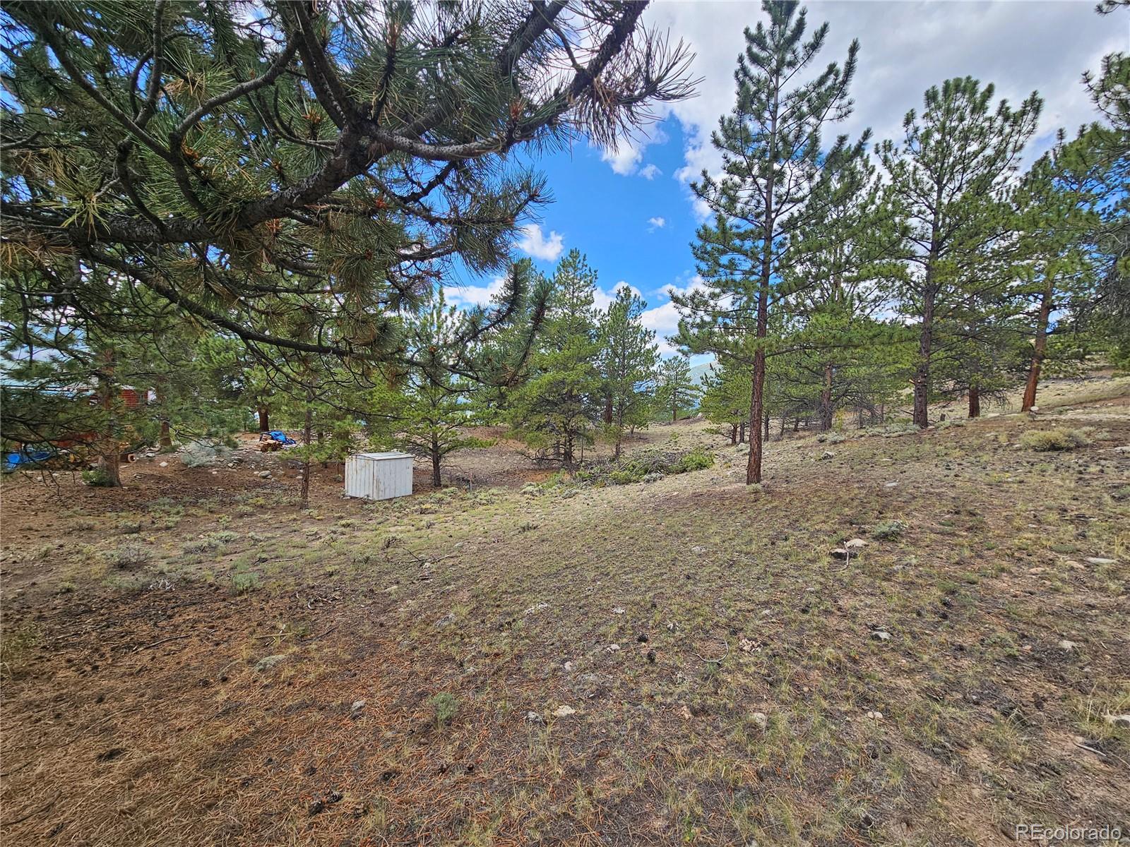 142 La Plata Peak Drive Twin Lakes CO 81251