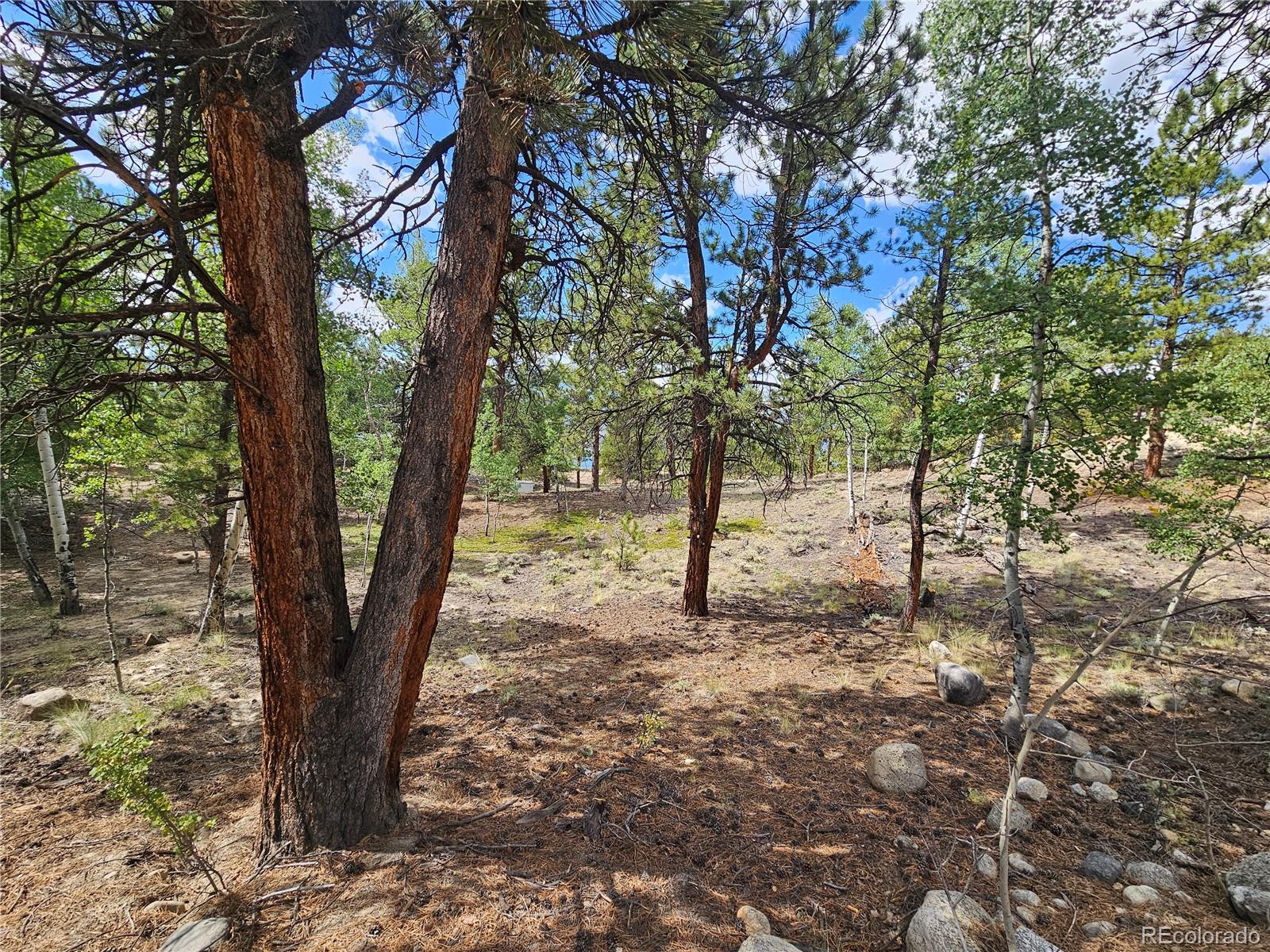 142 La Plata Peak Drive Twin Lakes CO 81251