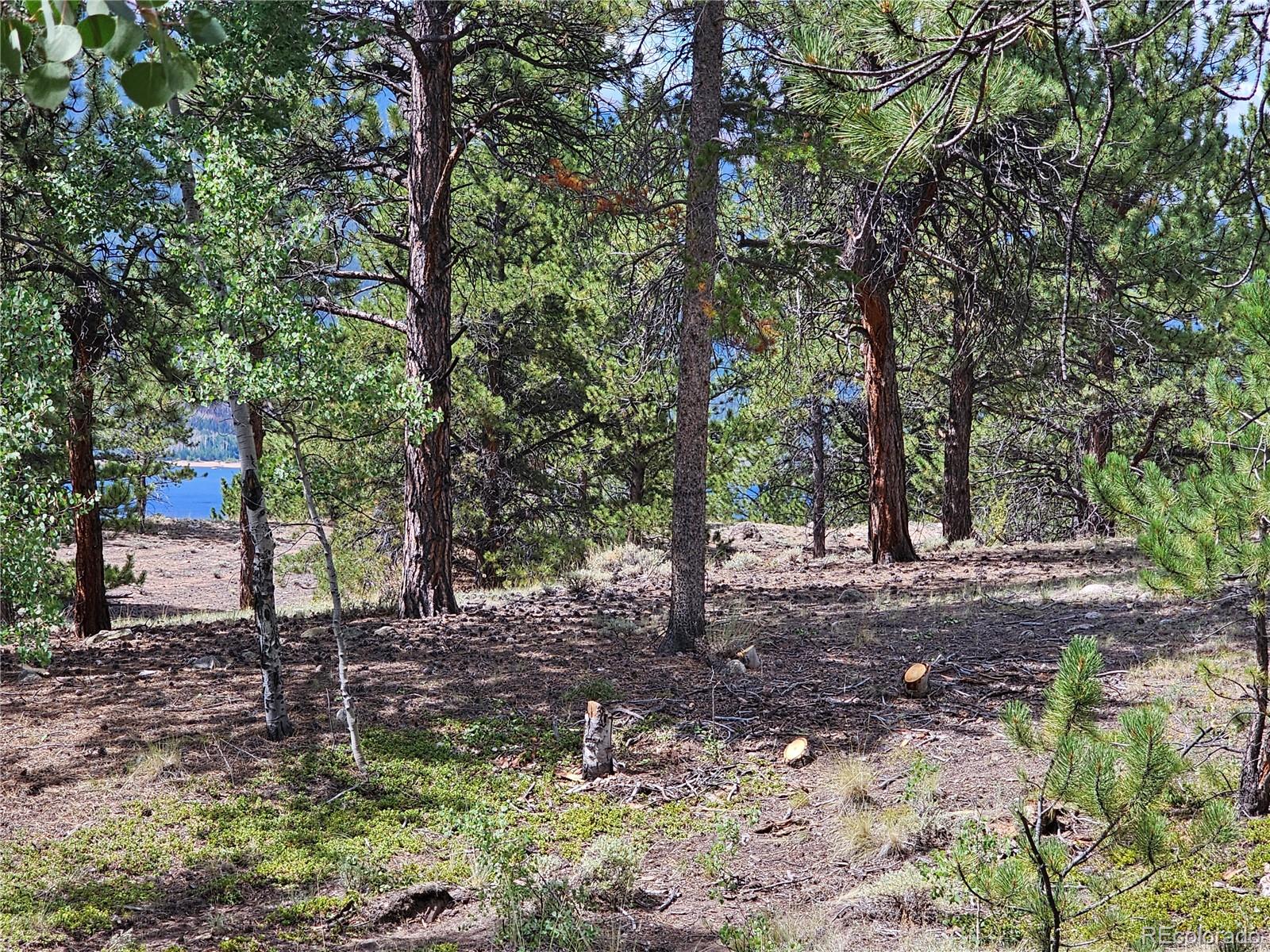 142 La Plata Peak Drive Twin Lakes CO 81251