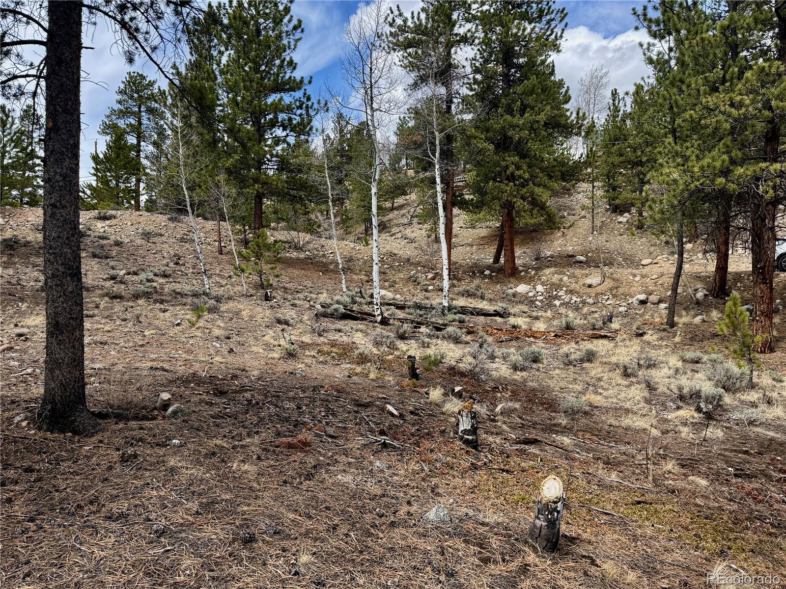 142 La Plata Peak Drive Twin Lakes CO 81251