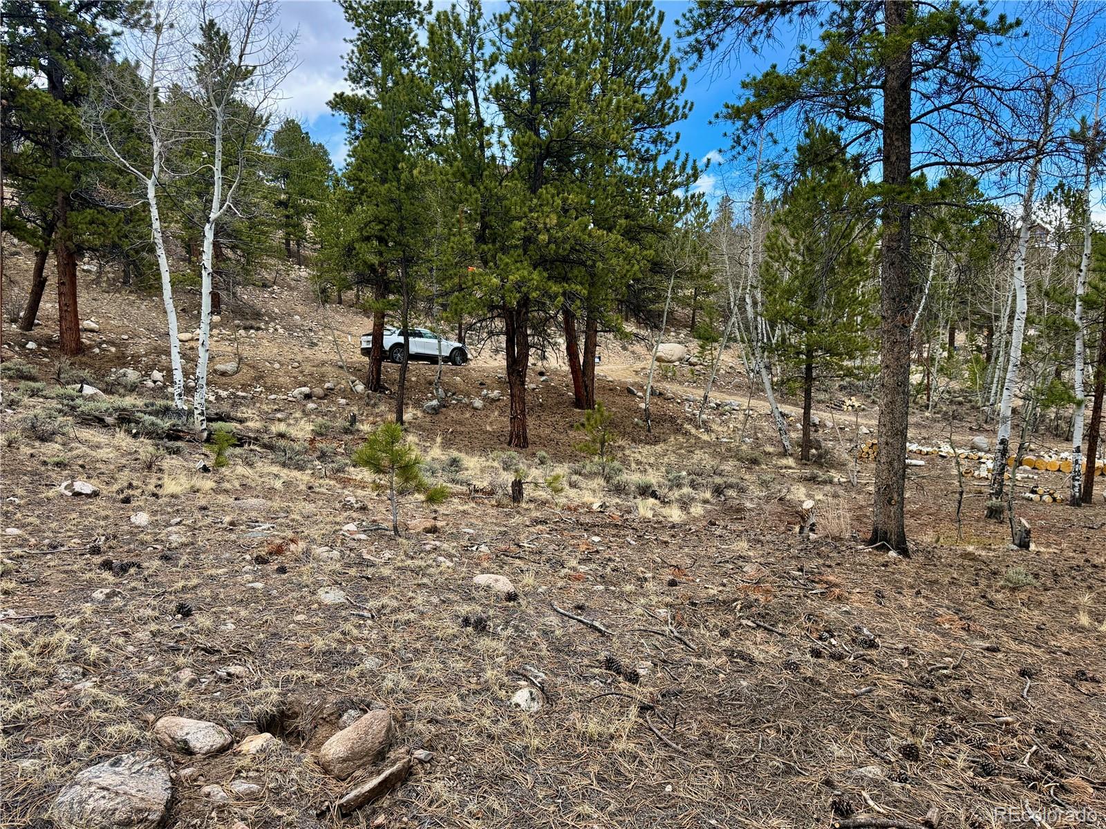142 La Plata Peak Drive Twin Lakes CO 81251