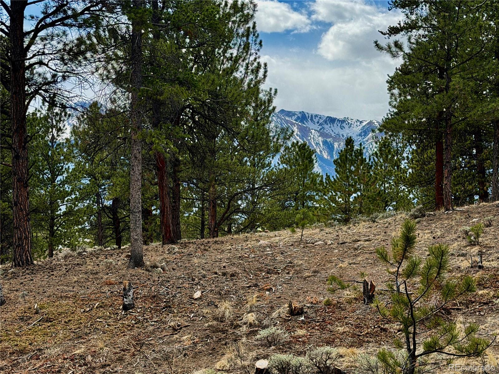 142 La Plata Peak Drive Twin Lakes CO 81251