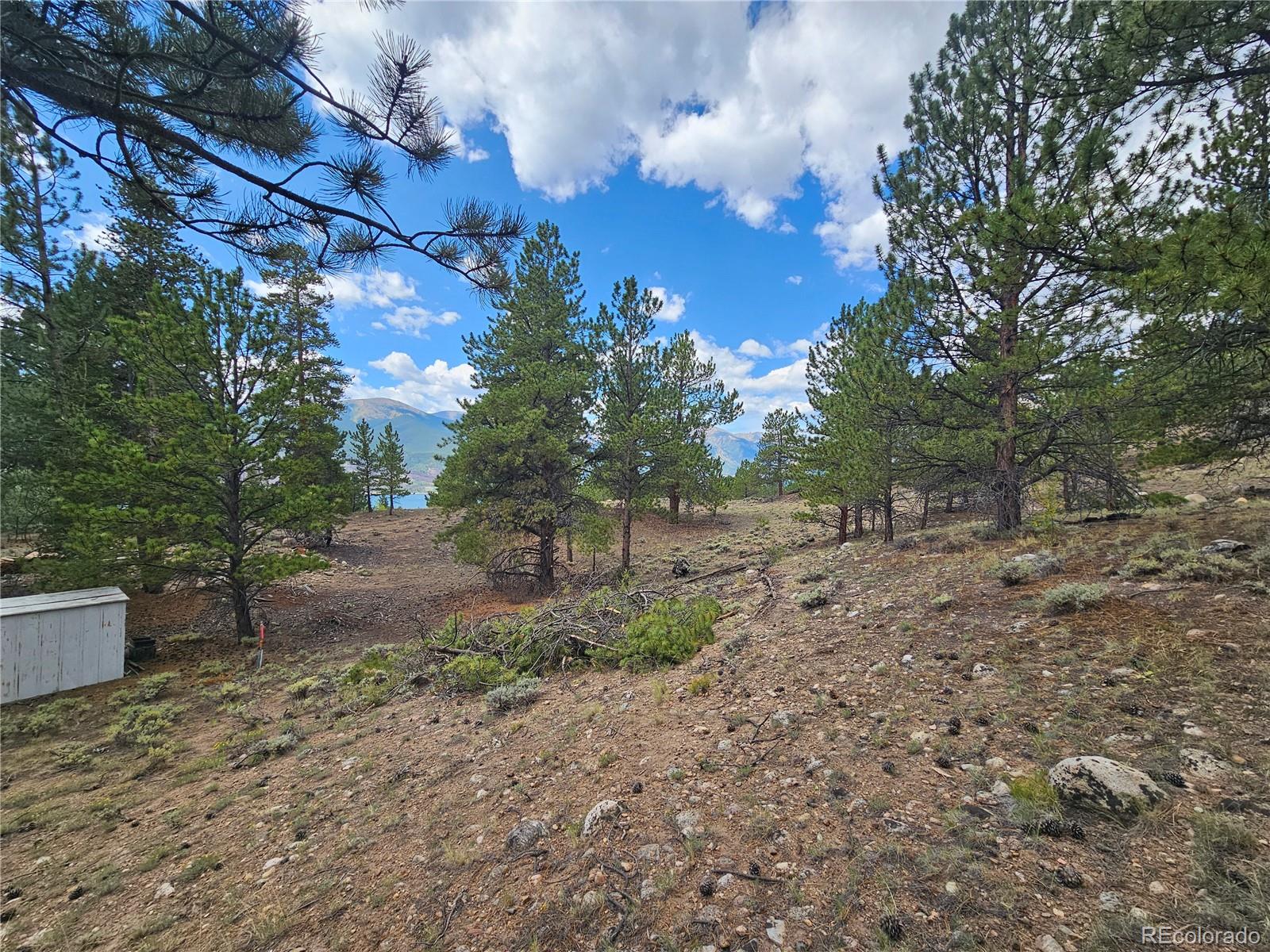 142 La Plata Peak Drive Twin Lakes CO 81251