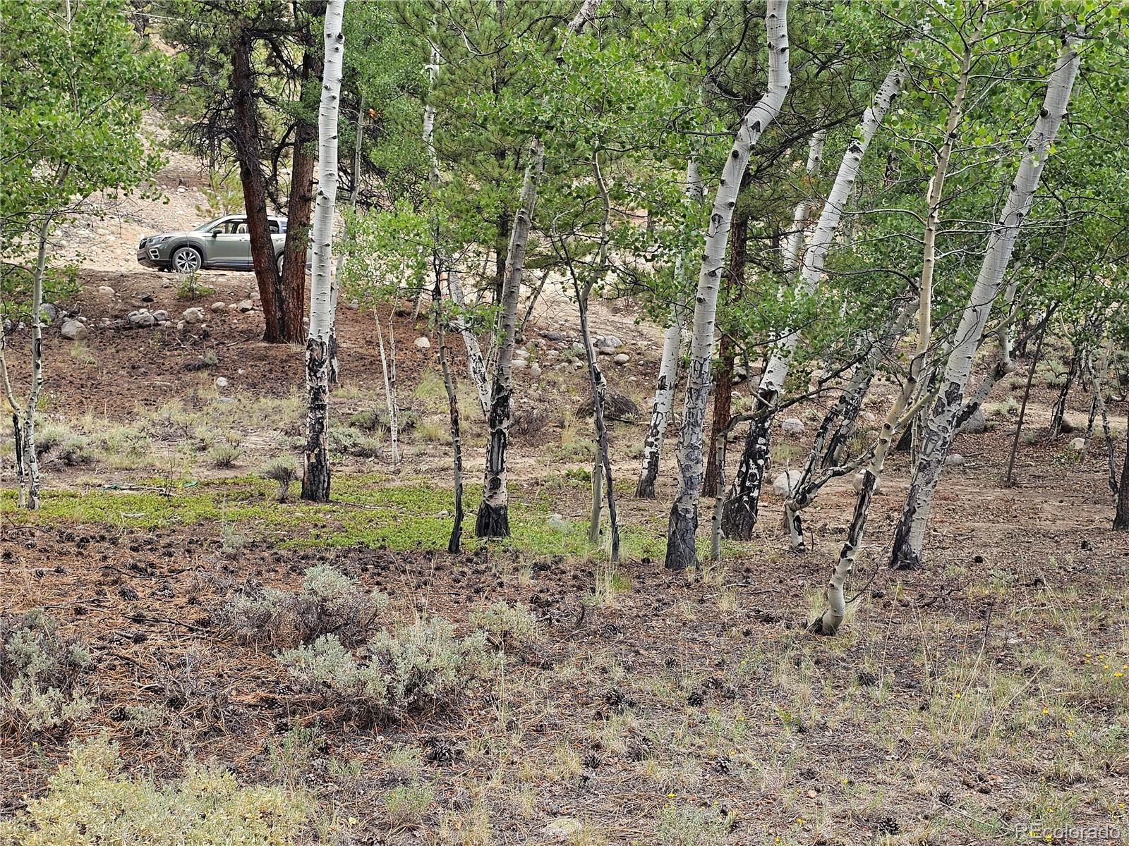 142 La Plata Peak Drive Twin Lakes CO 81251