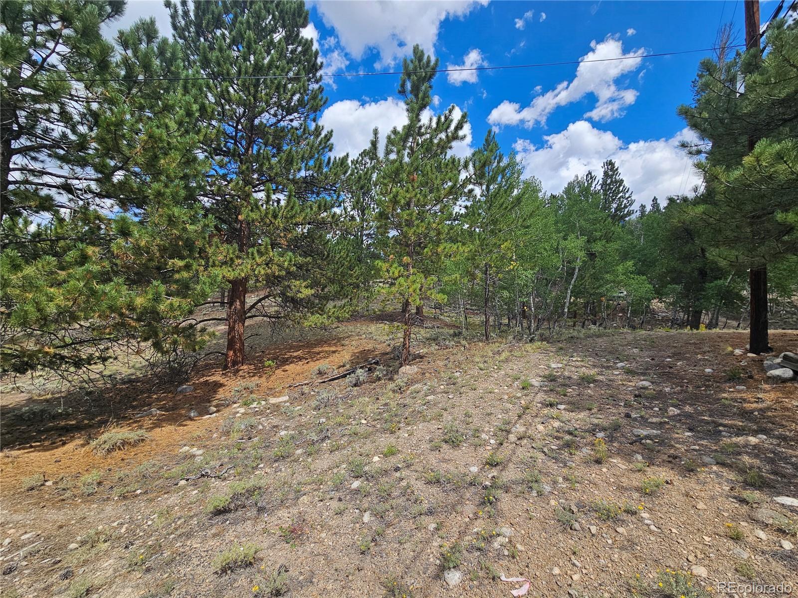 142 La Plata Peak Drive Twin Lakes CO 81251