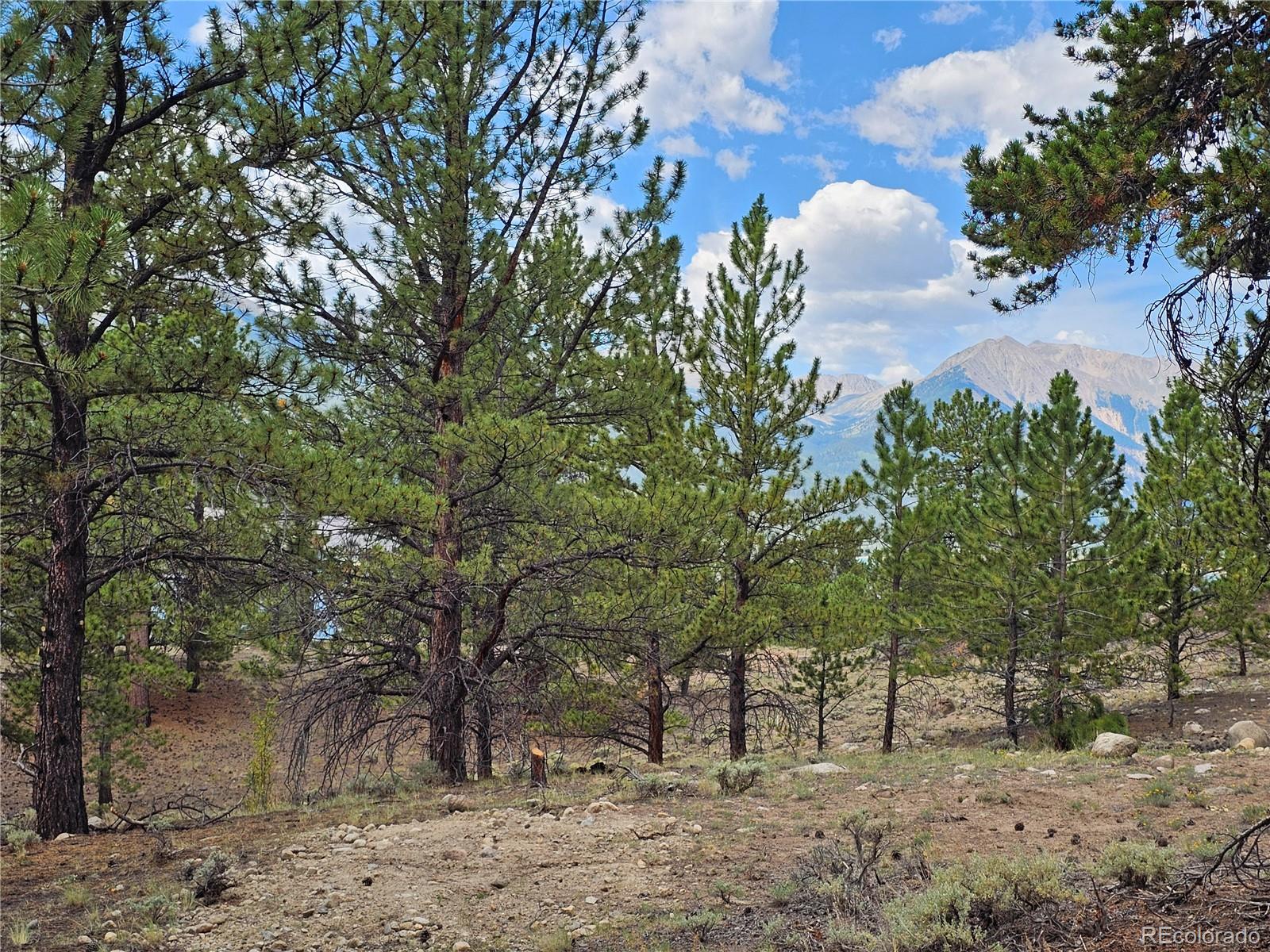 142 La Plata Peak Drive Twin Lakes CO 81251