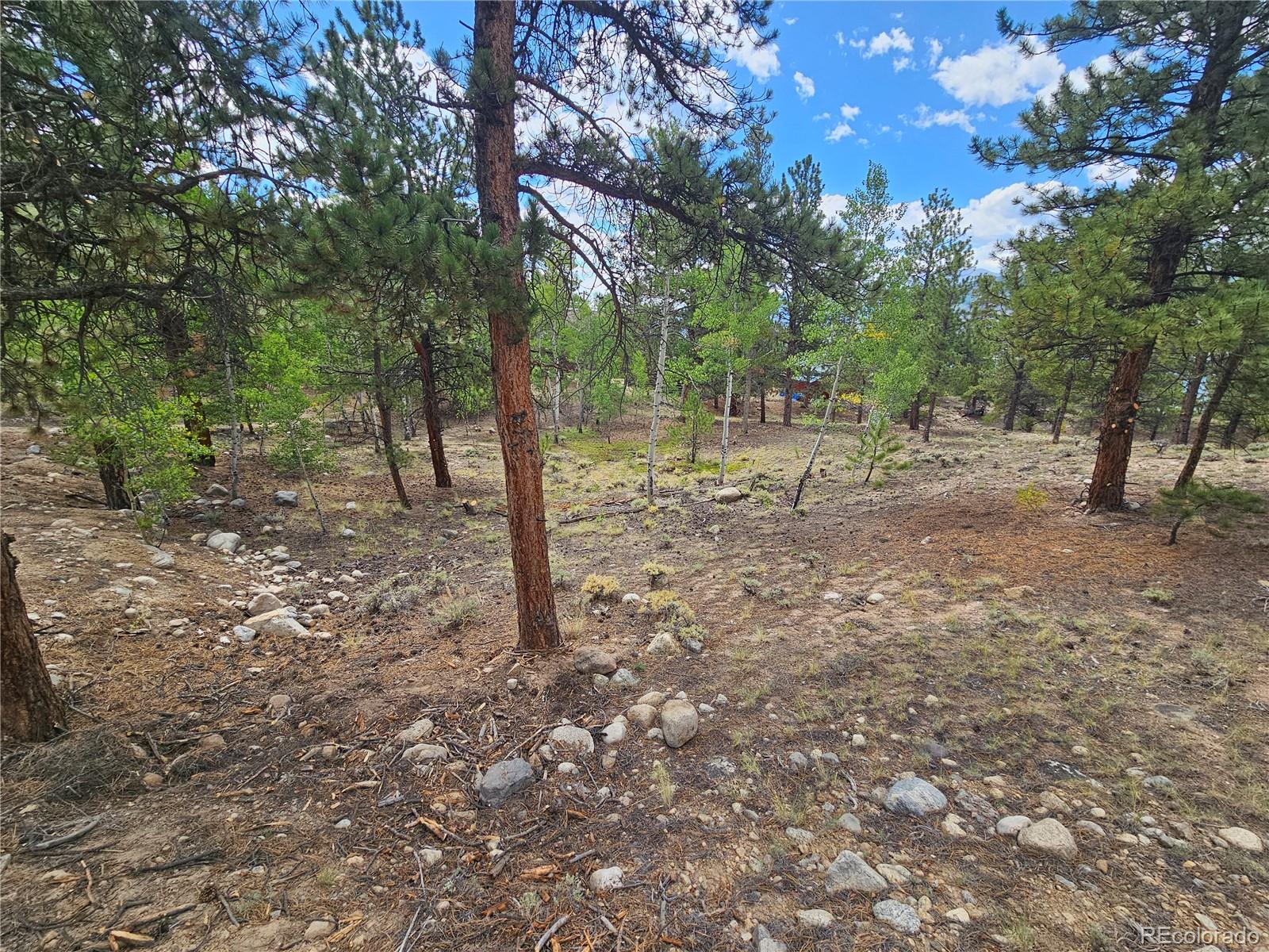 142 La Plata Peak Drive Twin Lakes CO 81251