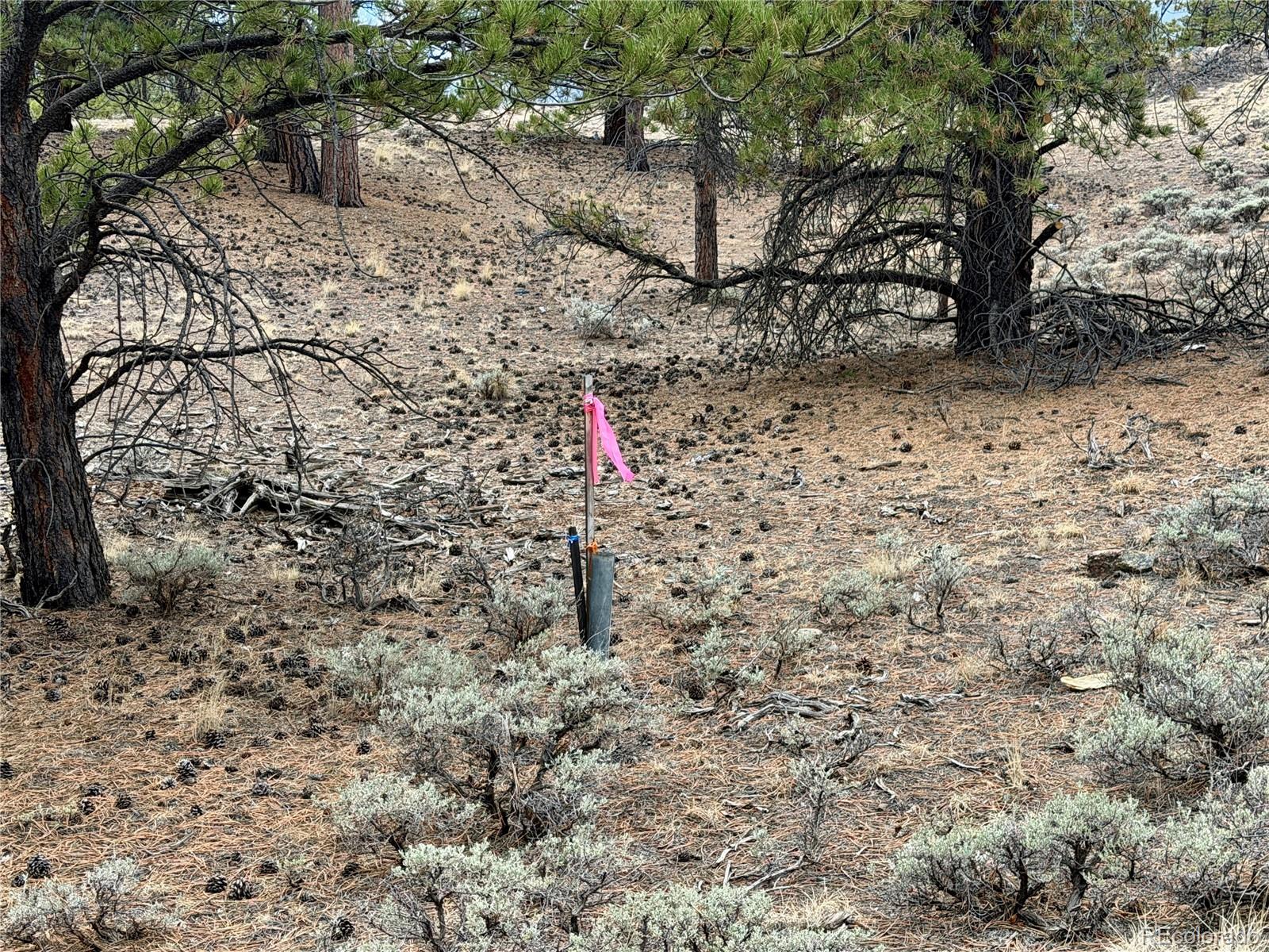 142 La Plata Peak Drive Twin Lakes CO 81251