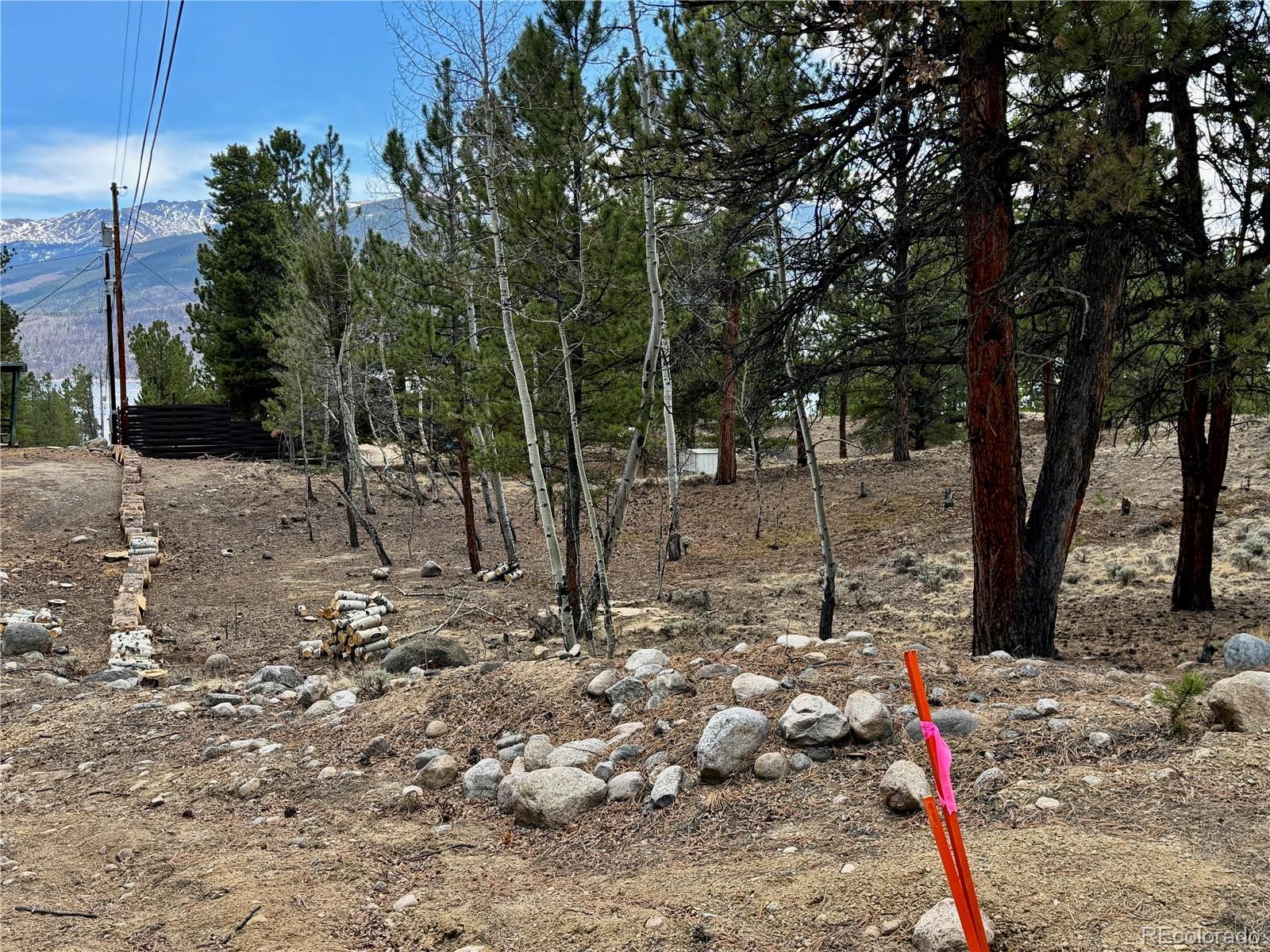 142 La Plata Peak Drive Twin Lakes CO 81251