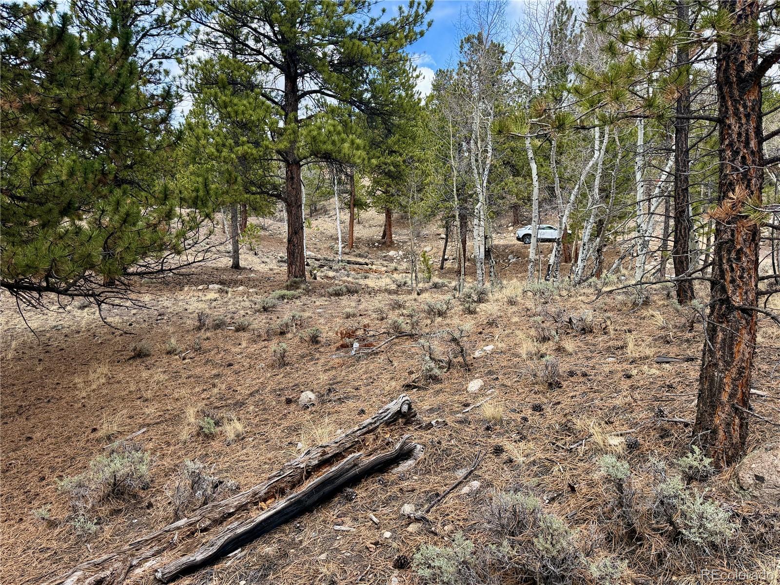 142 La Plata Peak Drive Twin Lakes CO 81251