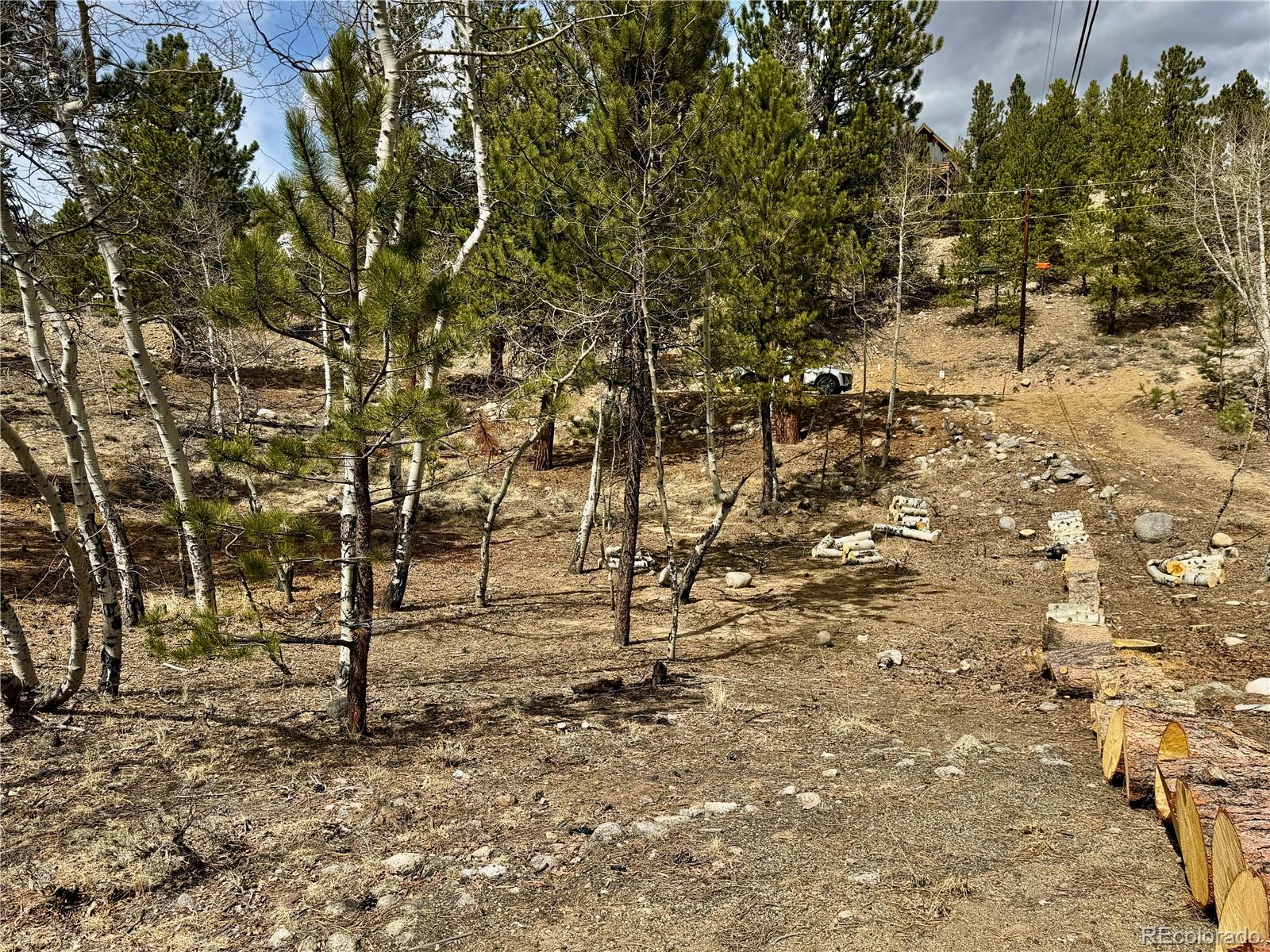 142 La Plata Peak Drive Twin Lakes CO 81251
