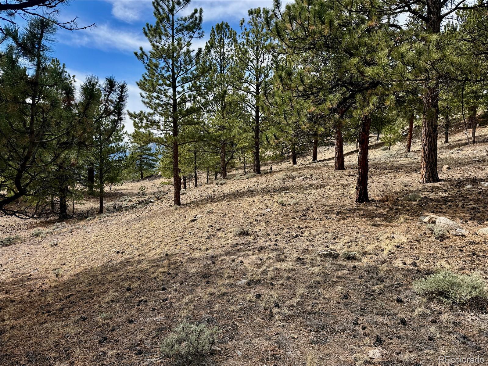 142 La Plata Peak Drive Twin Lakes CO 81251