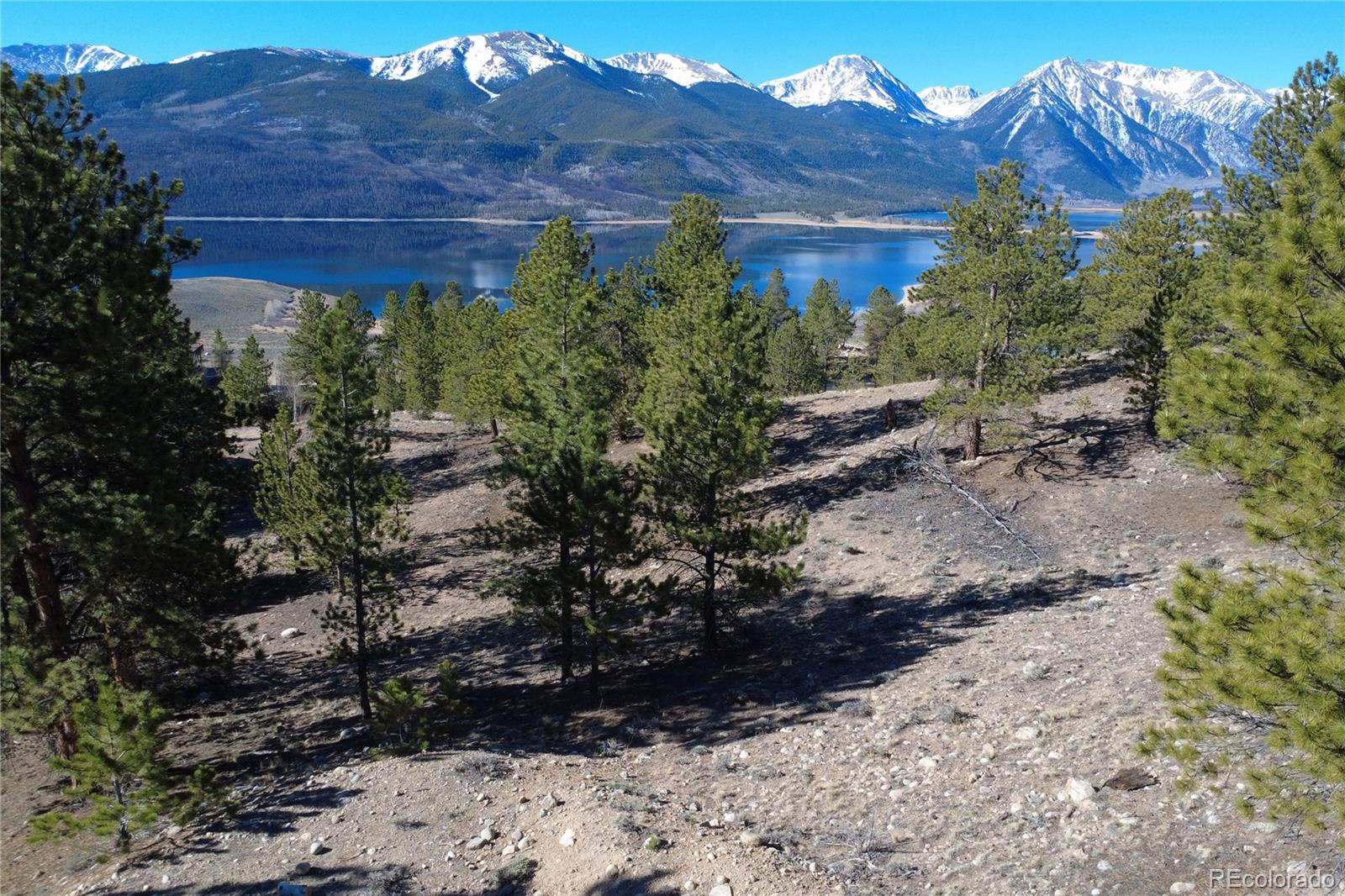 142 La Plata Peak Drive Twin Lakes CO 81251