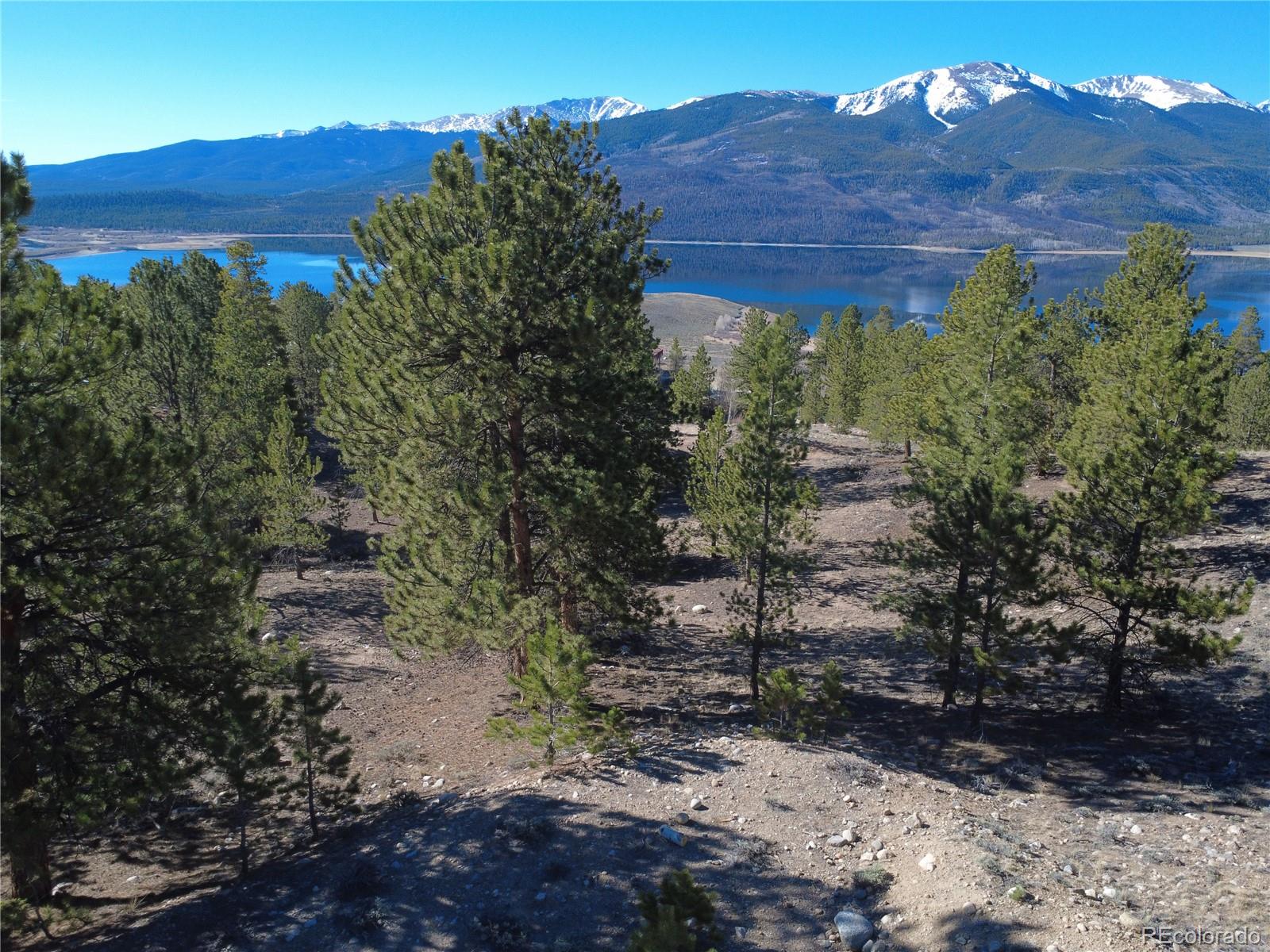 142 La Plata Peak Drive Twin Lakes CO 81251