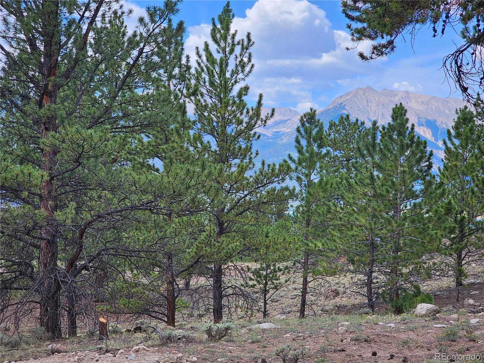 142 La Plata Peak Drive Twin Lakes CO 81251