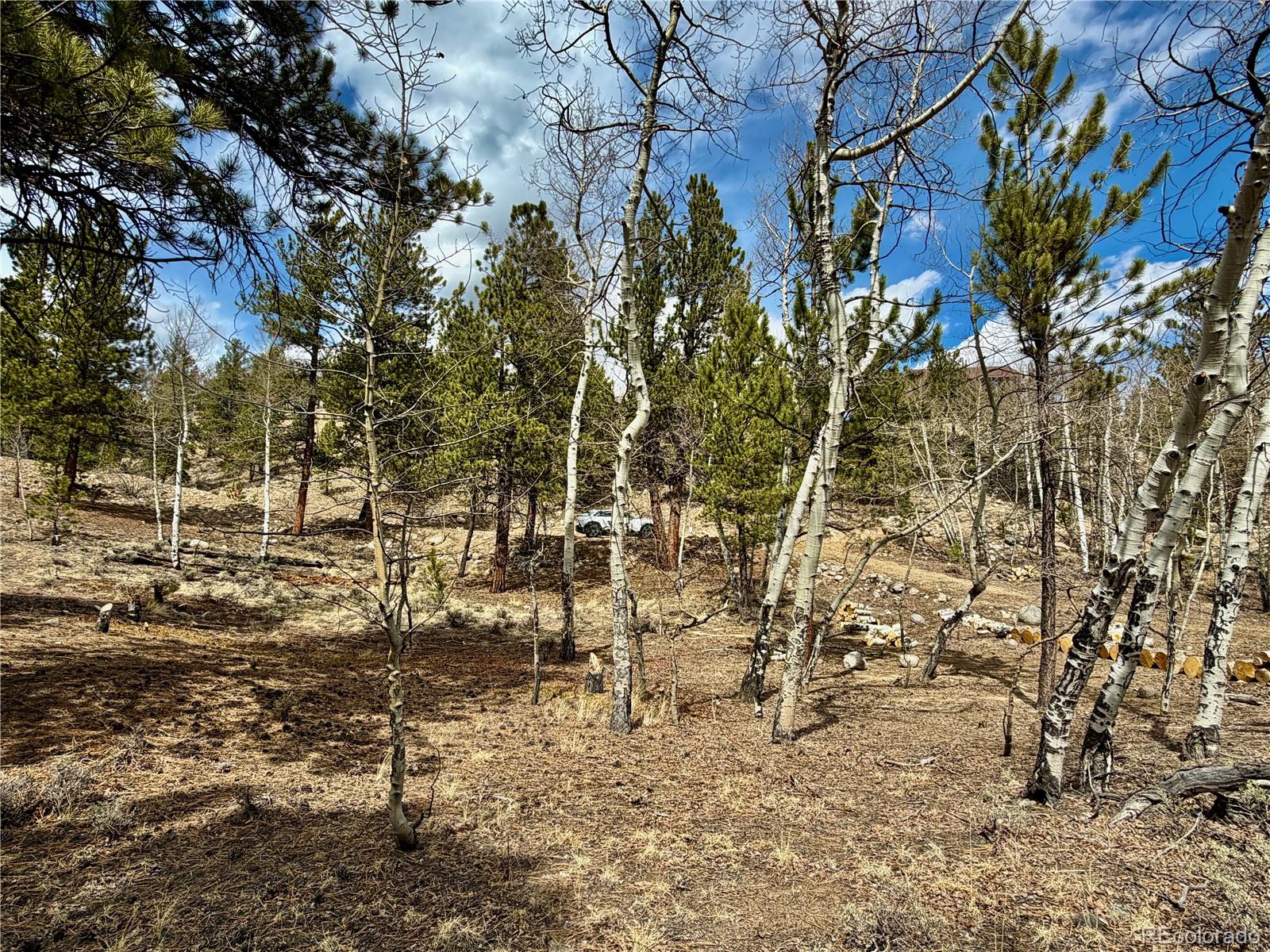 142 La Plata Peak Drive Twin Lakes CO 81251
