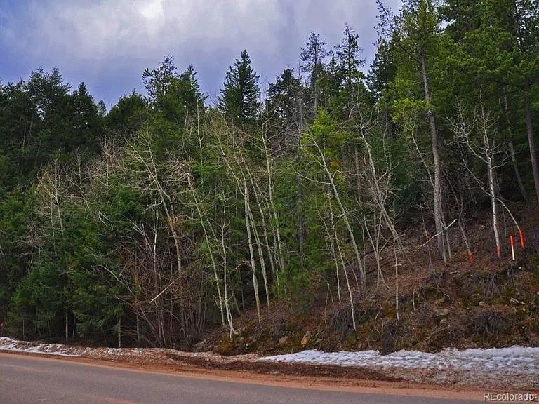 10136 Crest View Drive Morrison CO 80465