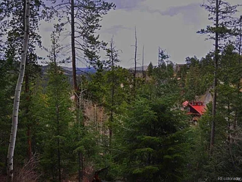 10136 Crest View Drive Morrison CO 80465
