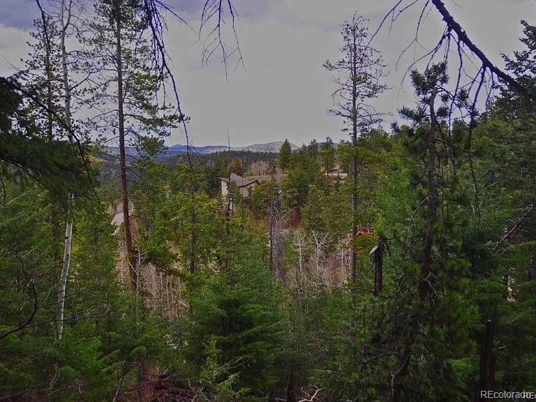 10136 Crest View Drive Morrison CO 80465