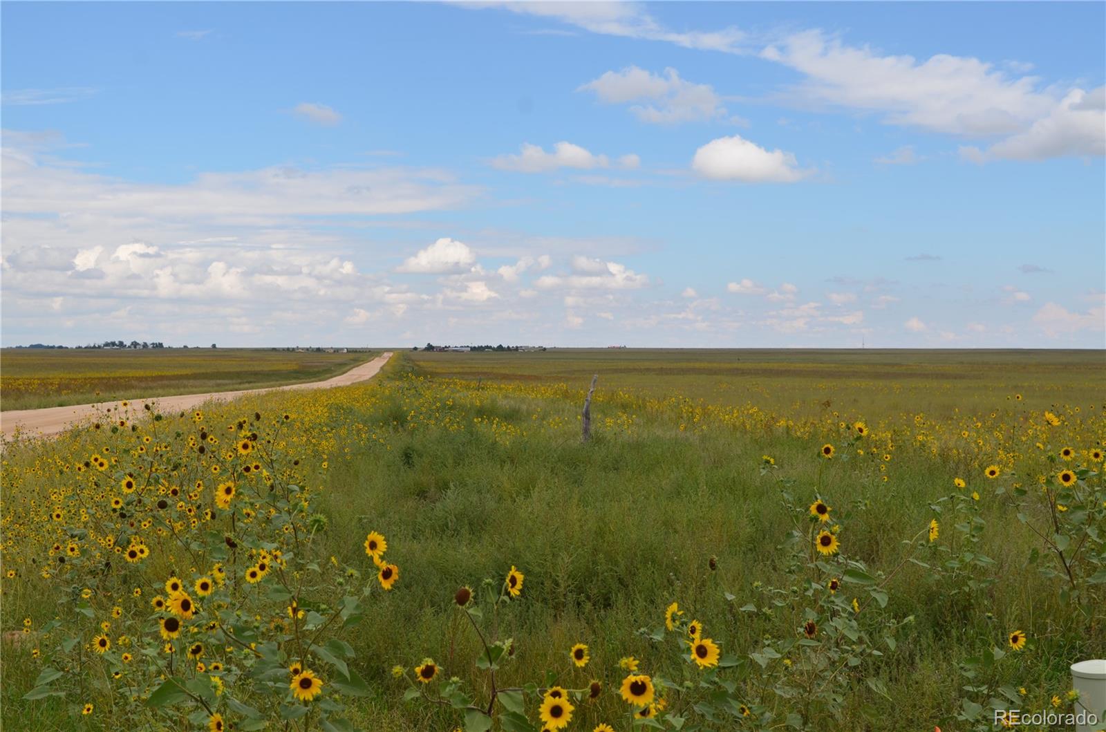 Parcel 6 County Road 2 Rush CO 80833