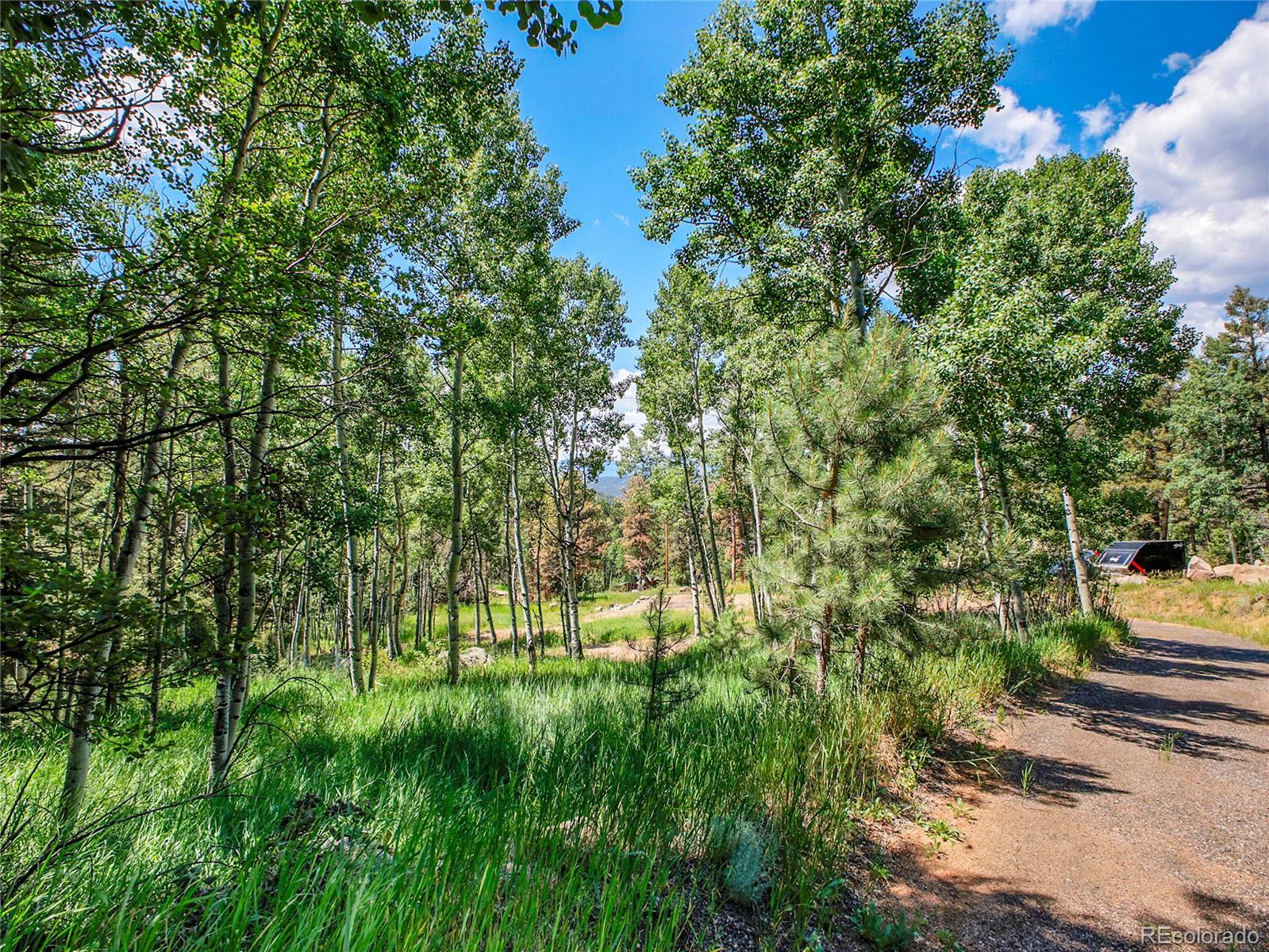 12286 Styve Road Conifer CO 80433