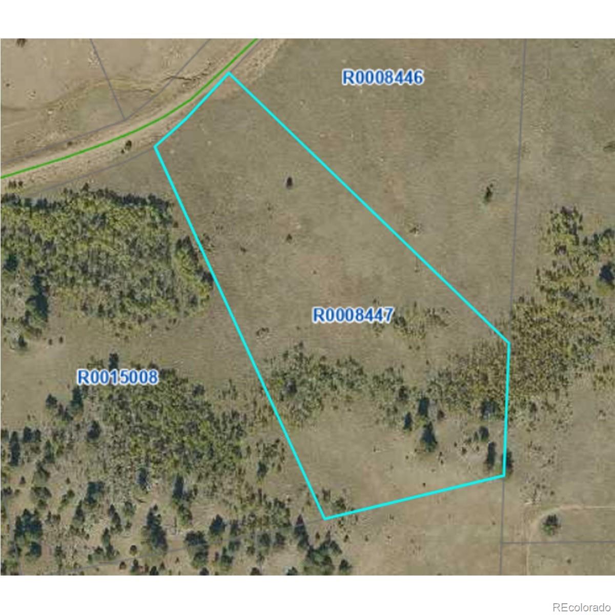 2178 Dog Chief Trail Hartsel CO 80449