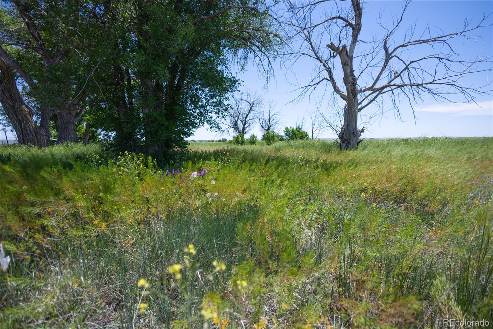23655 E Garrett Road Calhan CO 80808