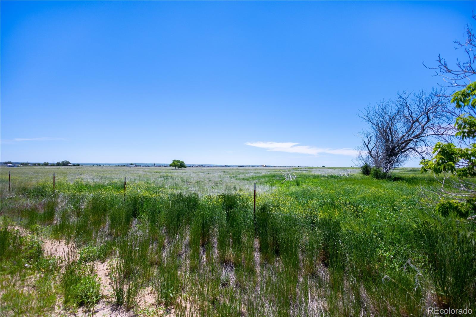23655 E Garrett Road Calhan CO 80808