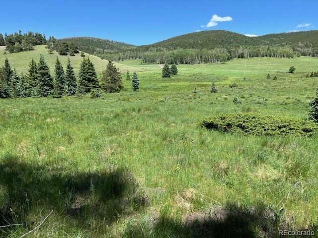 Lot 2684 Coder Place Fort Garland CO 81133