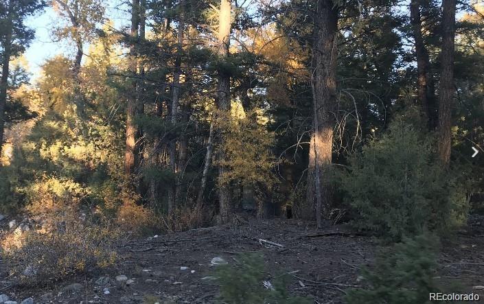 109 Deer Run Mosca CO 81146